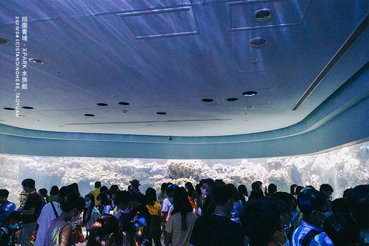 桃園青埔-XPARK水族館-13 桃園青埔-XPARK水族館-13