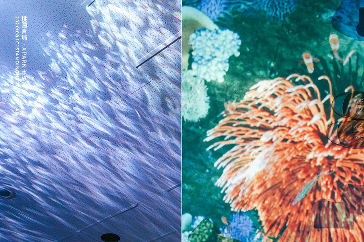 桃園青埔-XPARK水族館-14 桃園青埔-XPARK水族館-14