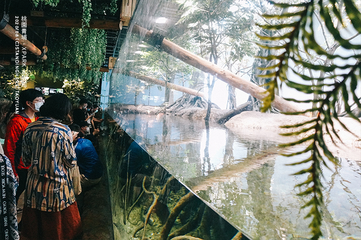 桃園青埔-XPARK水族館-38