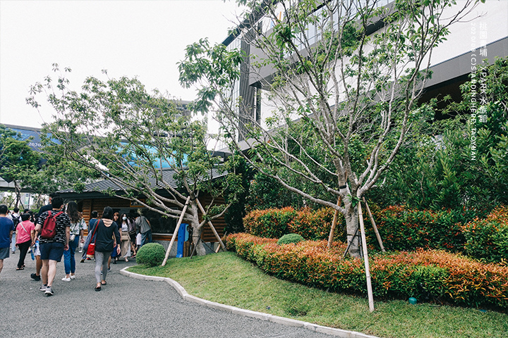 桃園青埔-XPARK水族館-89