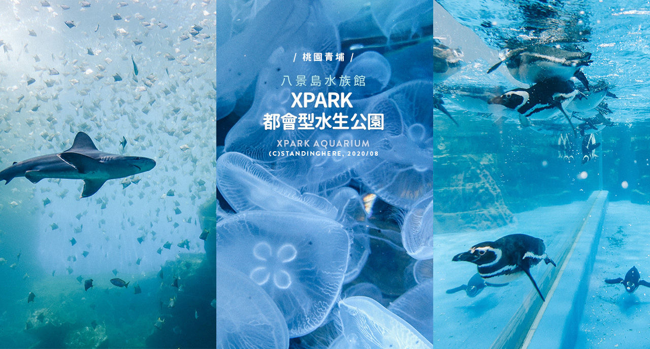 桃園青埔-XPARK水族館-banner