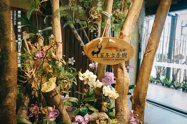 南投日月潭-hohocha喝喝茶-34 南投日月潭-hohocha喝喝茶-34