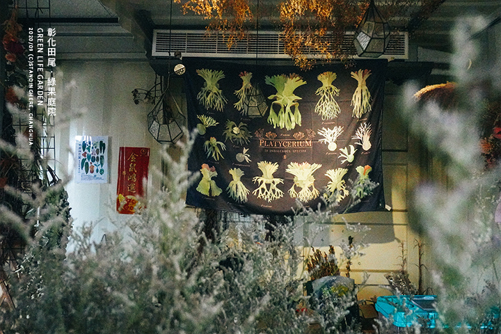 彰化田尾-綠果庭院-35 彰化田尾-綠果庭院-35