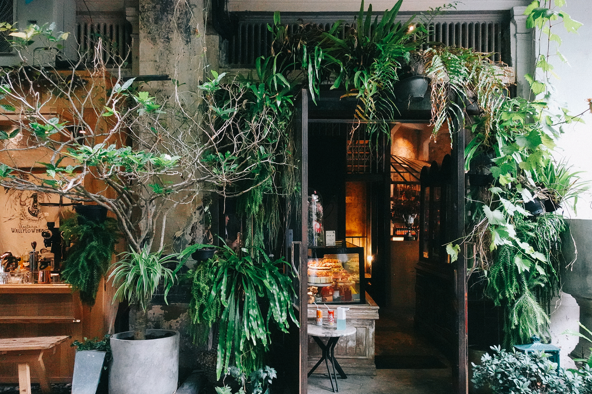 曼谷_wallflowers_cafe_02 曼谷_wallflowers_cafe_02