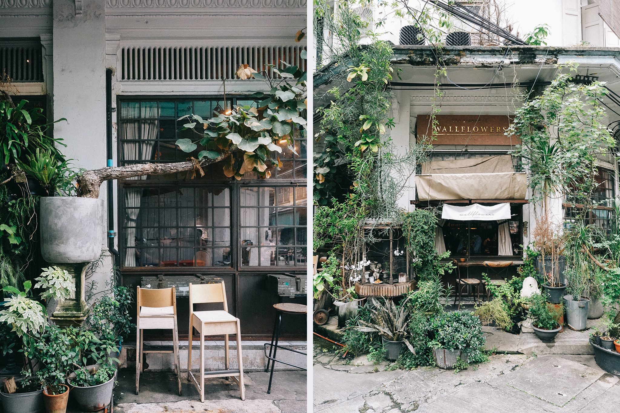 曼谷_wallflowers_cafe_30 曼谷_wallflowers_cafe_30