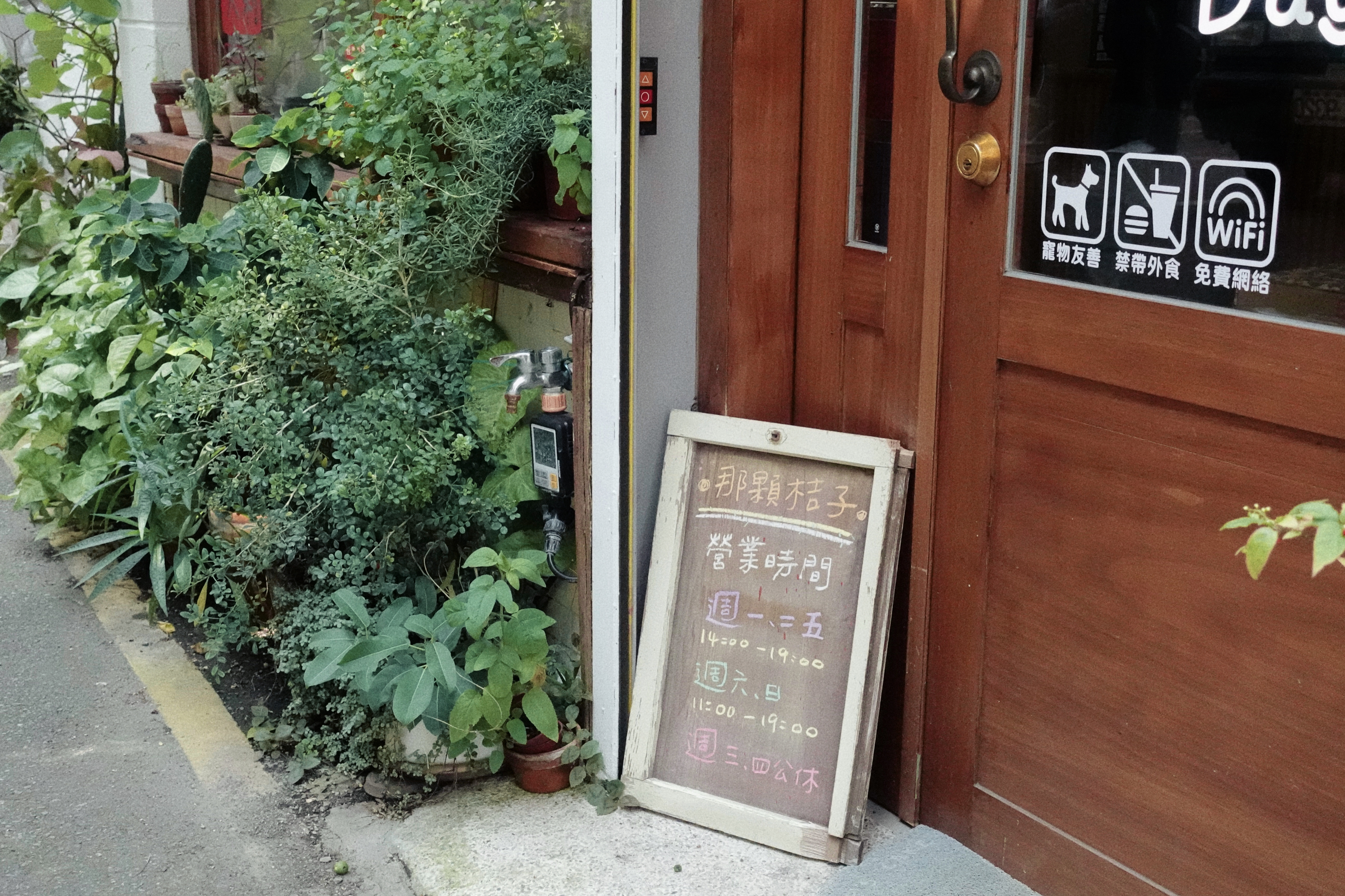 新竹_那顆桔子 新竹_那顆桔子