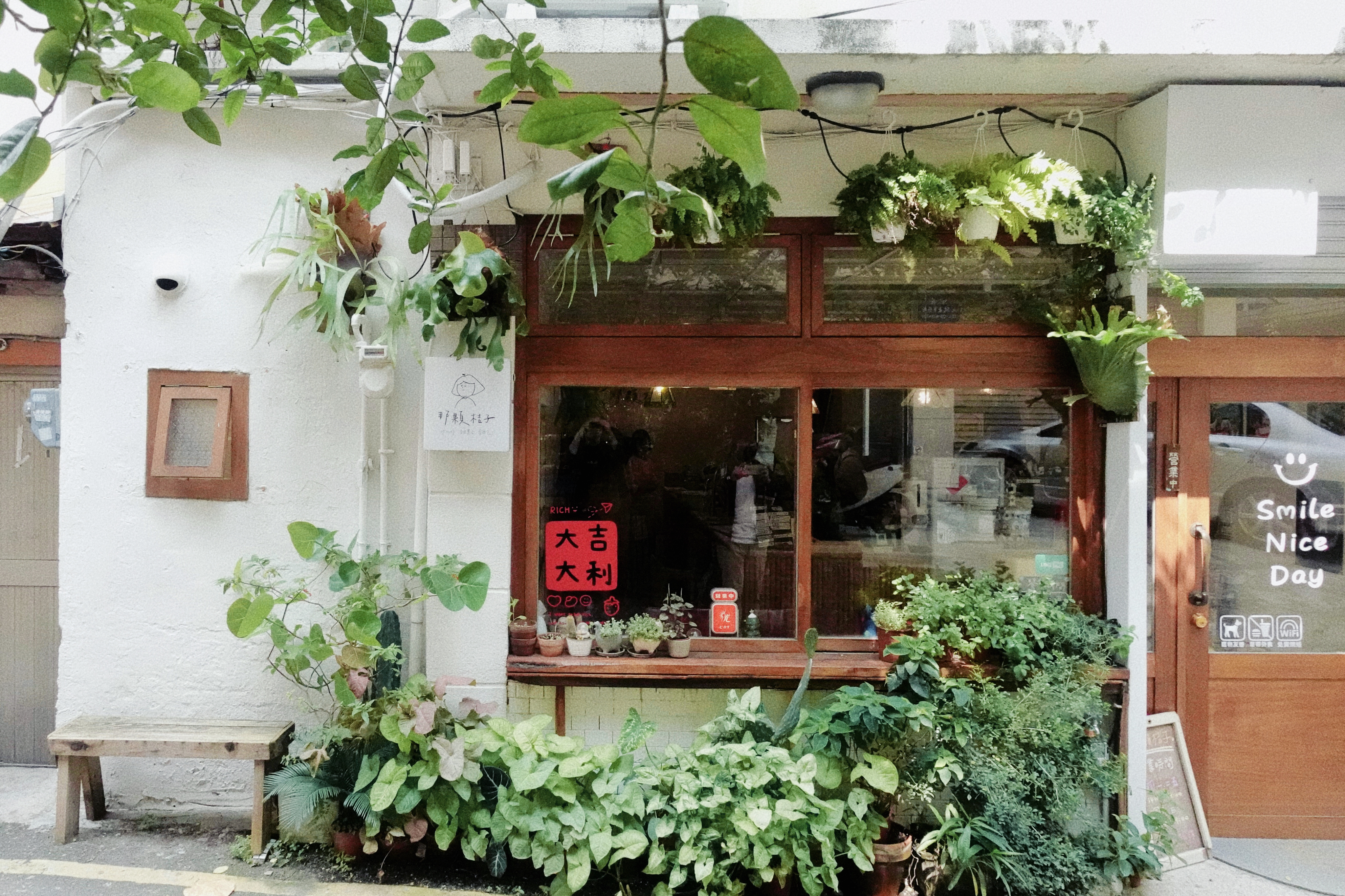 新竹_那顆桔子 新竹_那顆桔子