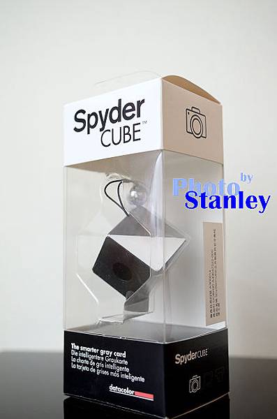 SpyderCube01