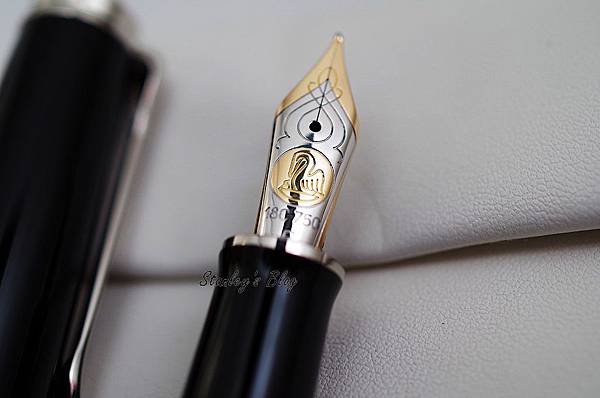 PelikanM805-5.jpg