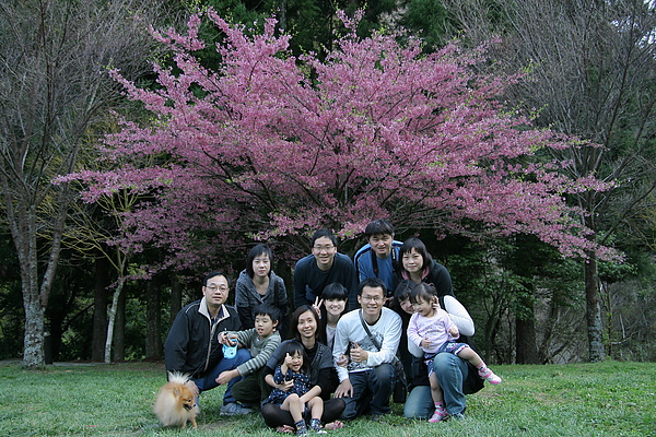 IMG_9758.JPG IMG_9758.JPG