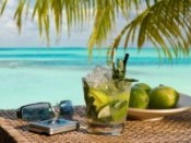 beachlime_175.jpg beachlime_175.jpg