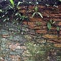 wall