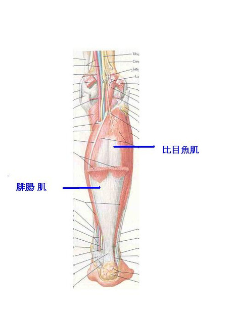 下一張(熱鍵:c)