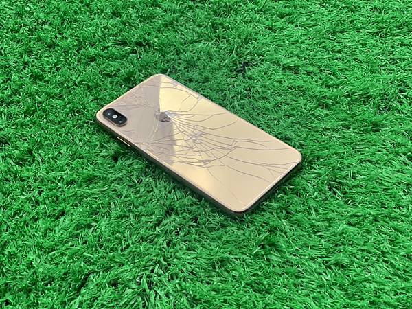 S__38051858.jpg S__38051858.jpg