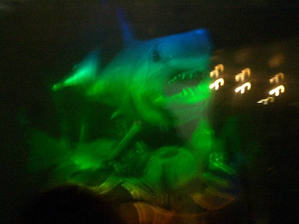 3D雷射的鯊魚