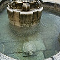 噴水池裡面的大烏龜