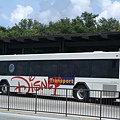 DISNEY接駁專車