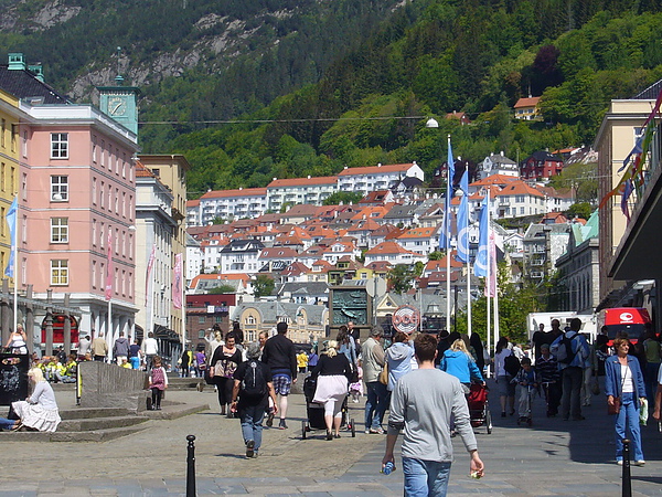 P1040612.jpg