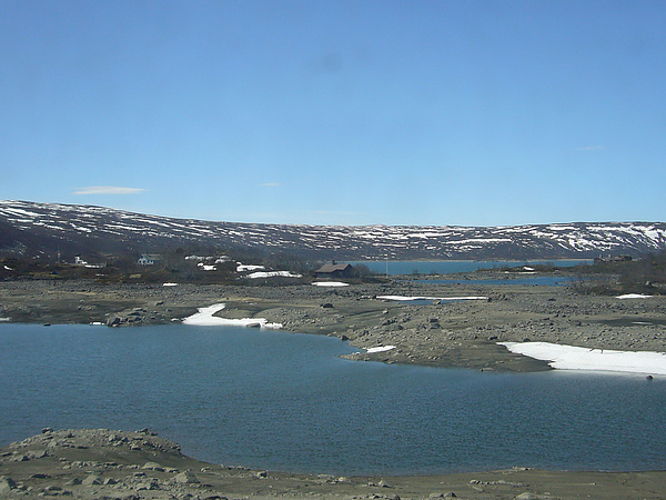 P1040516.jpg