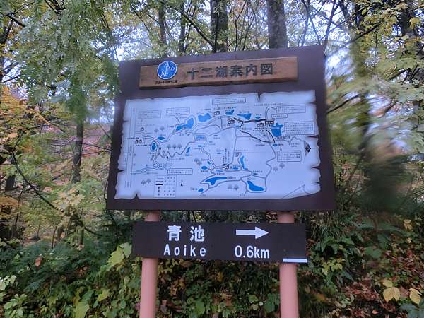 青森 遊記 五能線リゾートしらかみ風光絶佳一日遊 東北 白神山地十二湖青池 Jr觀光列車 使用全國版jr Pass交通分享 Star Chu 痞客邦