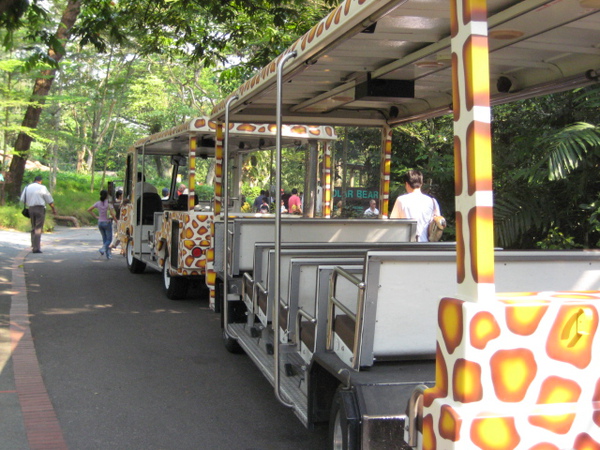 動物園遊園車