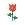 小花 小花