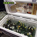 P05.jpg