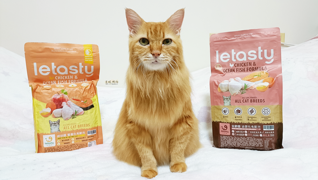 Letasty鮮樂嚐評價｜高CP值 無穀貓飼料推薦｜腸胃敏感