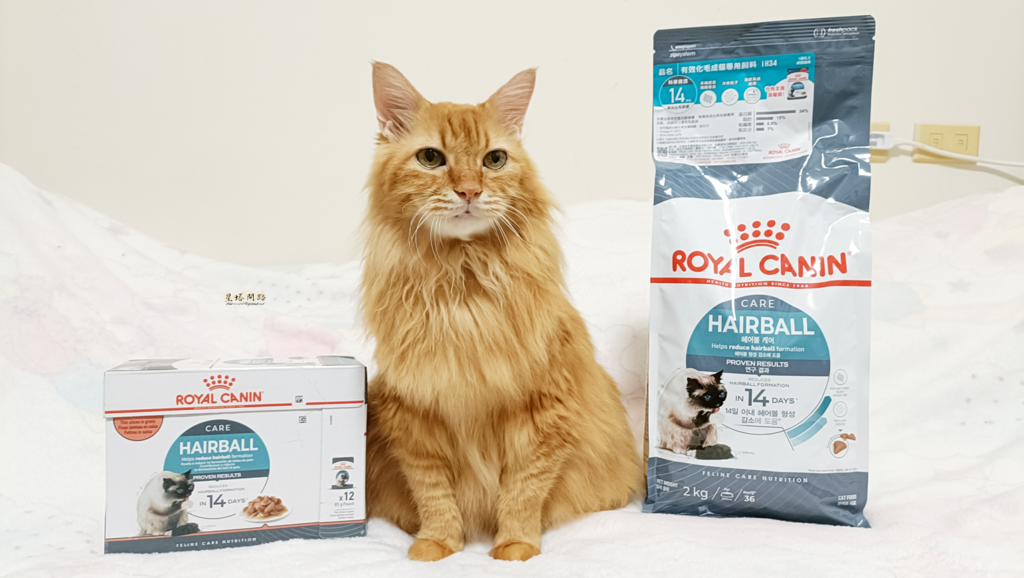 貓飼料推薦開箱｜ROYAL CANIN法國皇家｜IH34有效