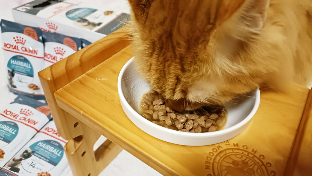 貓飼料推薦開箱｜ROYAL CANIN法國皇家｜IH34有效