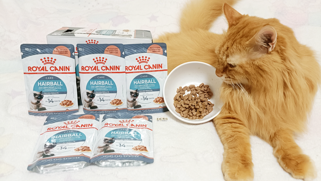 貓飼料推薦開箱｜ROYAL CANIN法國皇家｜IH34有效