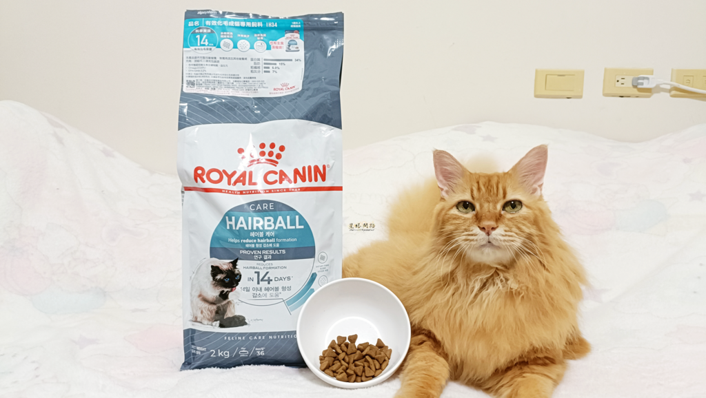 貓飼料推薦開箱｜ROYAL CANIN法國皇家｜IH34有效