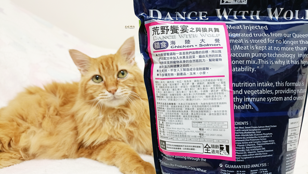 荒野饗宴評價，海陸大餐 無穀貓飼料分享，給予毛孩均衡的營養，
