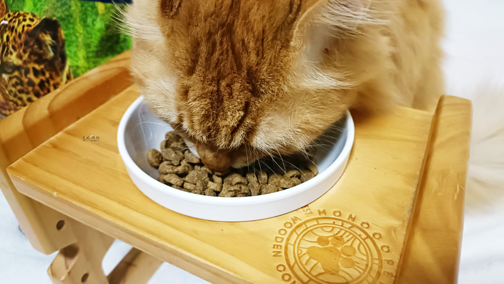 荒野饗宴評價，海陸大餐 無穀貓飼料分享，給予毛孩均衡的營養，