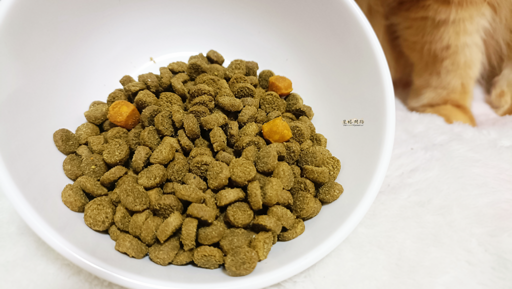 2024飼料推薦 八犬寵物 Nutrience紐崔斯CARE