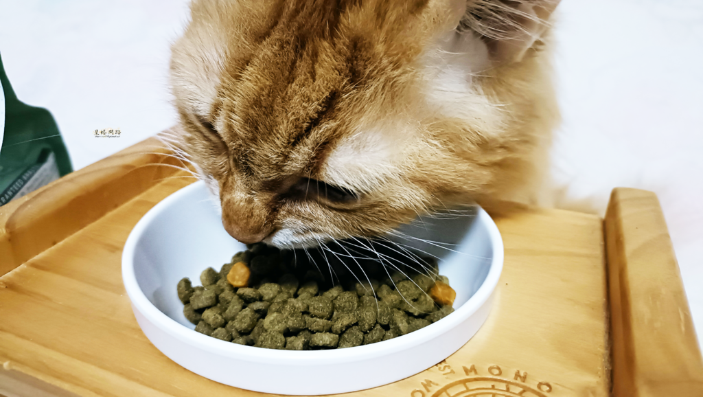 2024飼料推薦 八犬寵物 Nutrience紐崔斯CARE