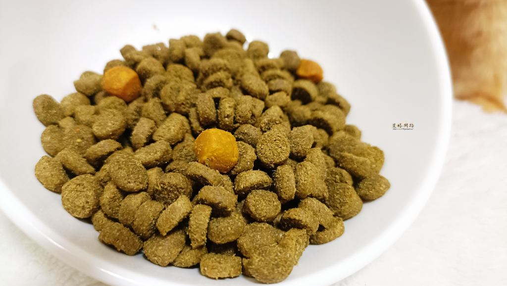 2024飼料推薦 八犬寵物 Nutrience紐崔斯CARE