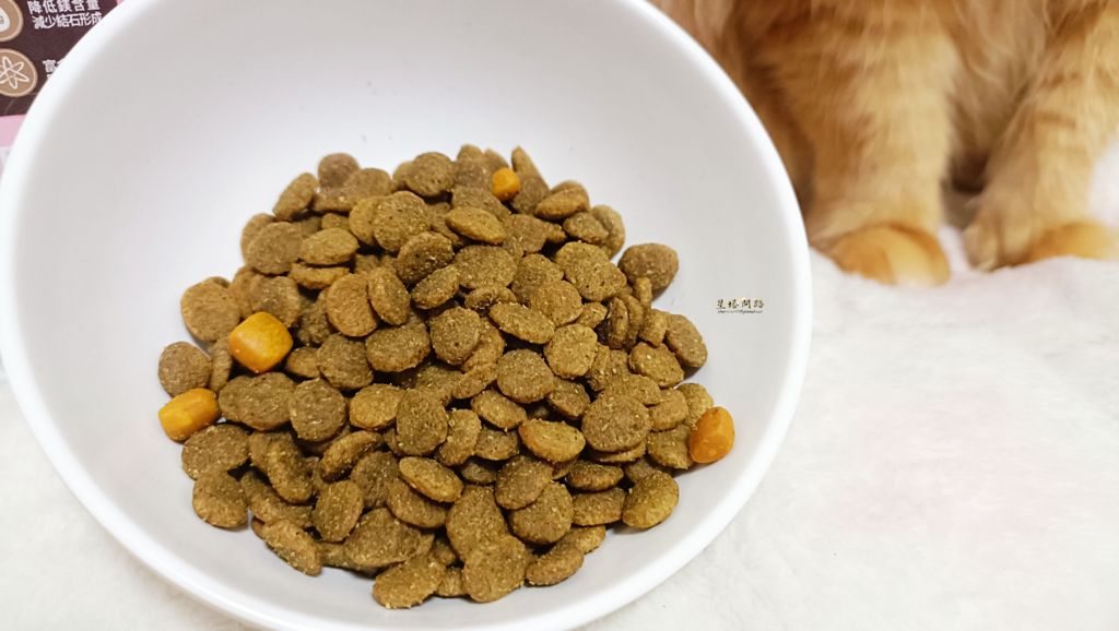 2024飼料推薦 八犬寵物 Nutrience紐崔斯CARE
