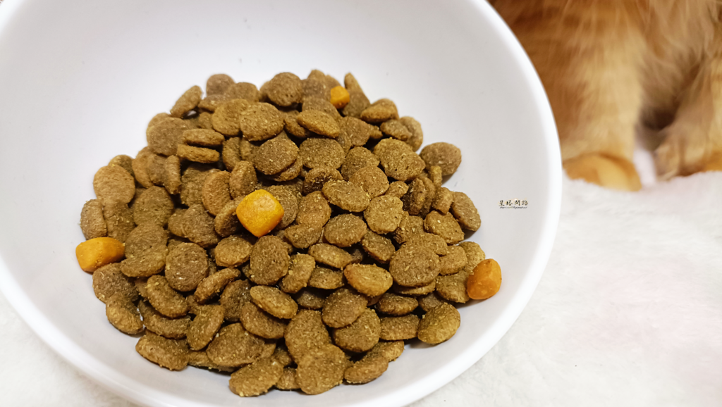 2024飼料推薦 八犬寵物 Nutrience紐崔斯CARE