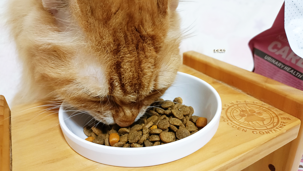 2024飼料推薦 八犬寵物 Nutrience紐崔斯CARE