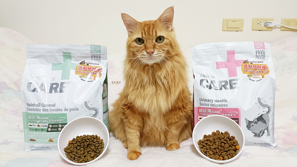 2024飼料推薦 八犬寵物 Nutrience紐崔斯CARE