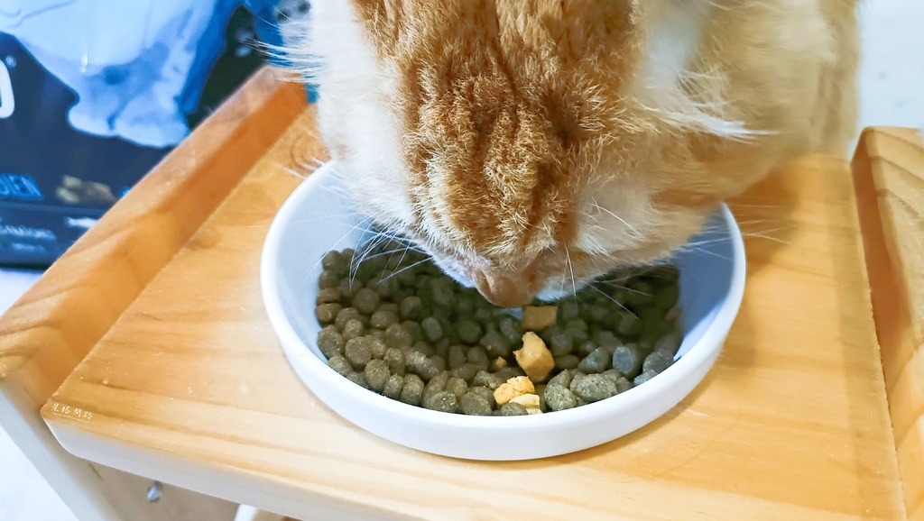 2025飼料推薦｜八犬寵物 Nutrience紐崔斯頂級黑鑽