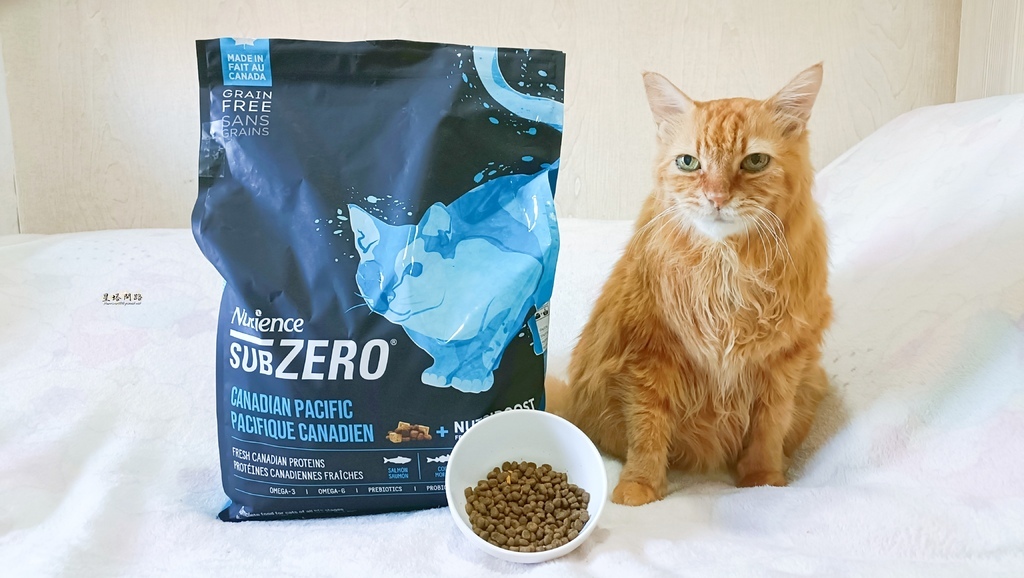 2025飼料推薦｜八犬寵物 Nutrience紐崔斯頂級黑鑽