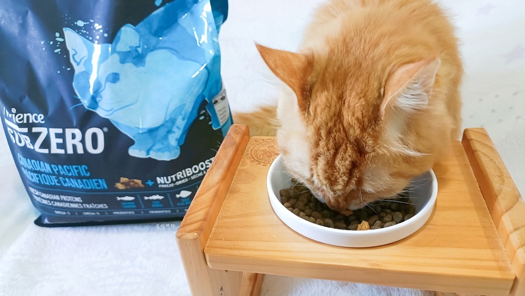 2025飼料推薦｜八犬寵物 Nutrience紐崔斯頂級黑鑽