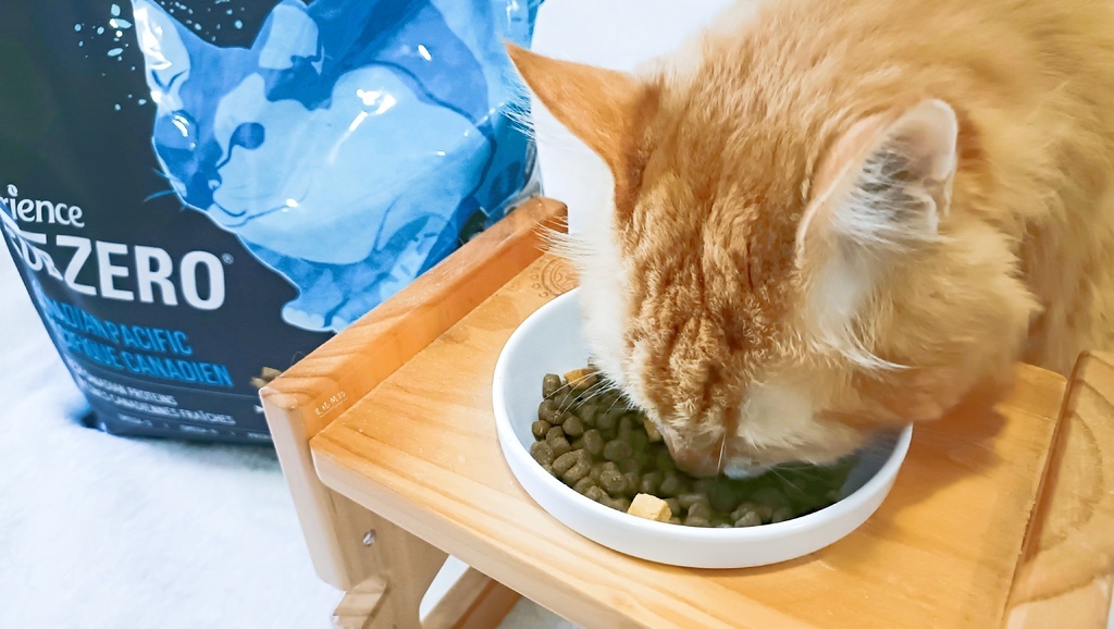 2025飼料推薦｜八犬寵物 Nutrience紐崔斯頂級黑鑽