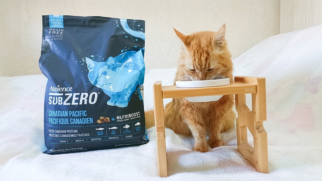 2025飼料推薦｜八犬寵物 Nutrience紐崔斯頂級黑鑽