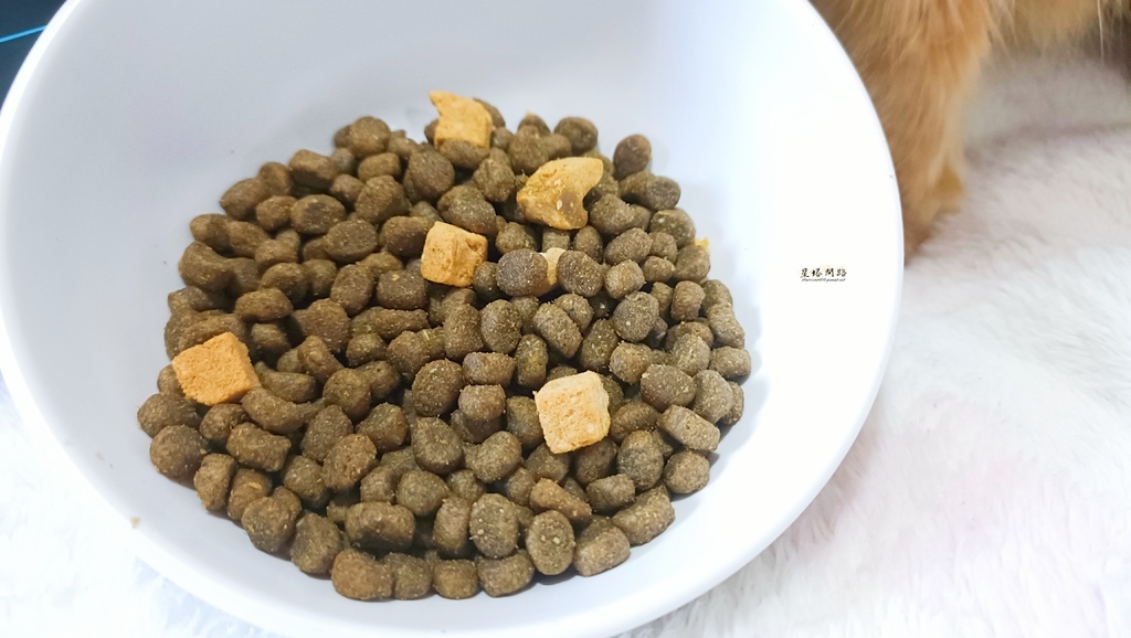 2025飼料推薦｜八犬寵物 Nutrience紐崔斯頂級黑鑽