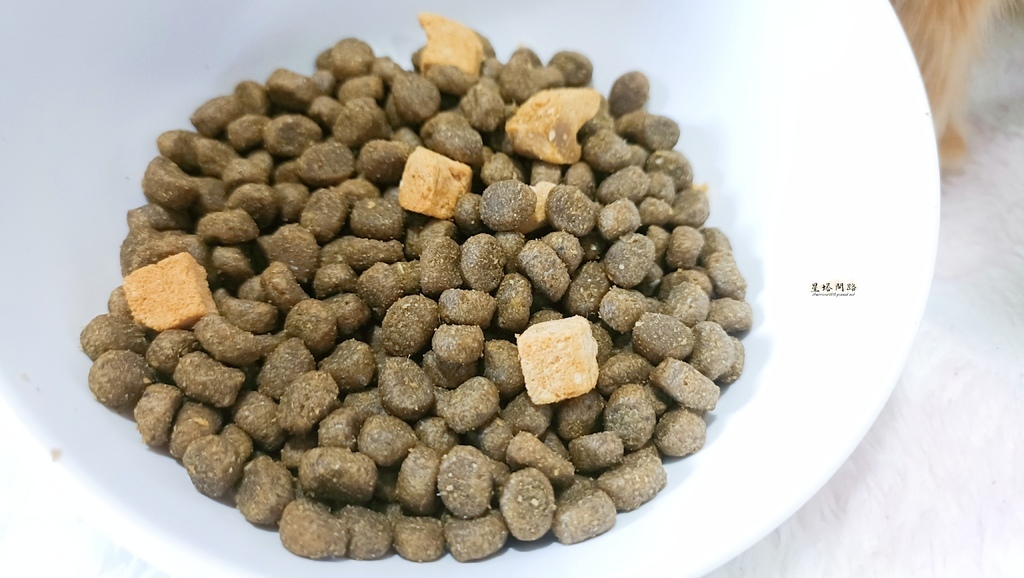 2025飼料推薦｜八犬寵物 Nutrience紐崔斯頂級黑鑽
