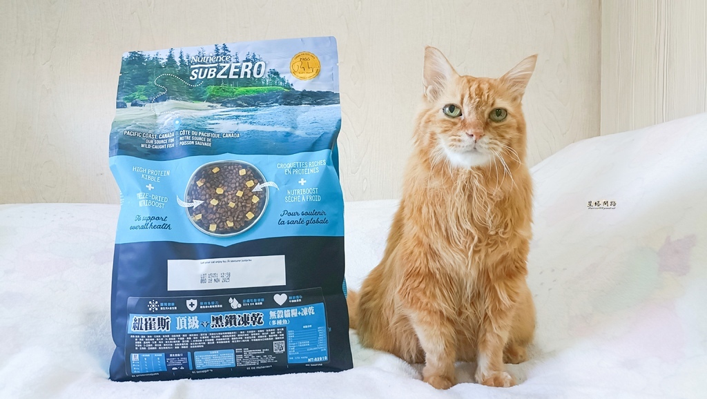 2025飼料推薦｜八犬寵物 Nutrience紐崔斯頂級黑鑽