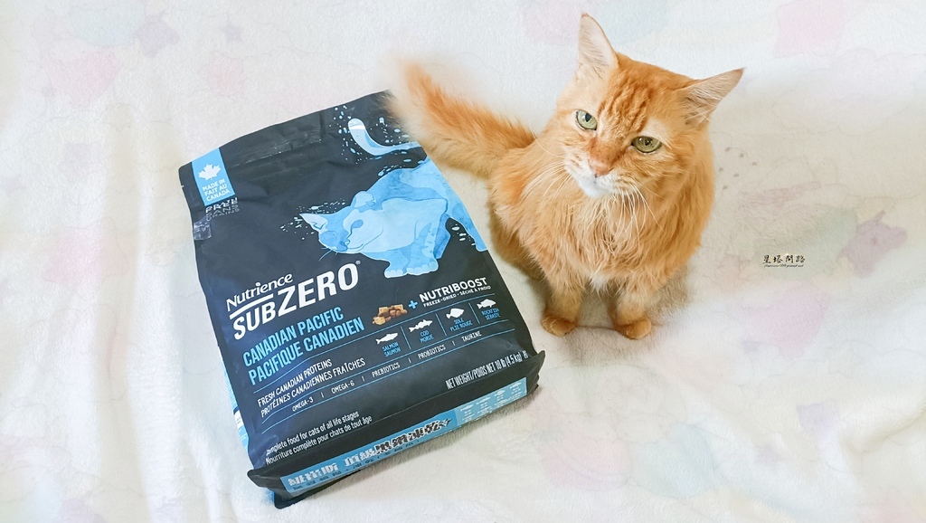 2025飼料推薦｜八犬寵物 Nutrience紐崔斯頂級黑鑽